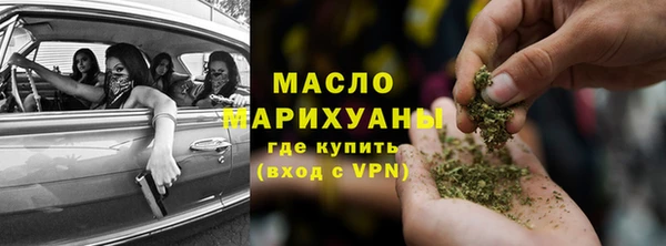 дживик Бородино