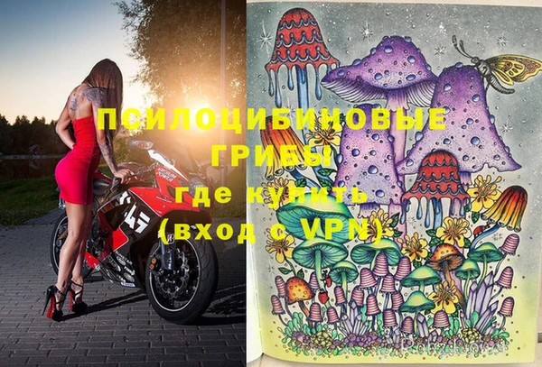 дживик Бородино