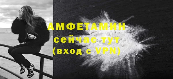 дживик Бородино